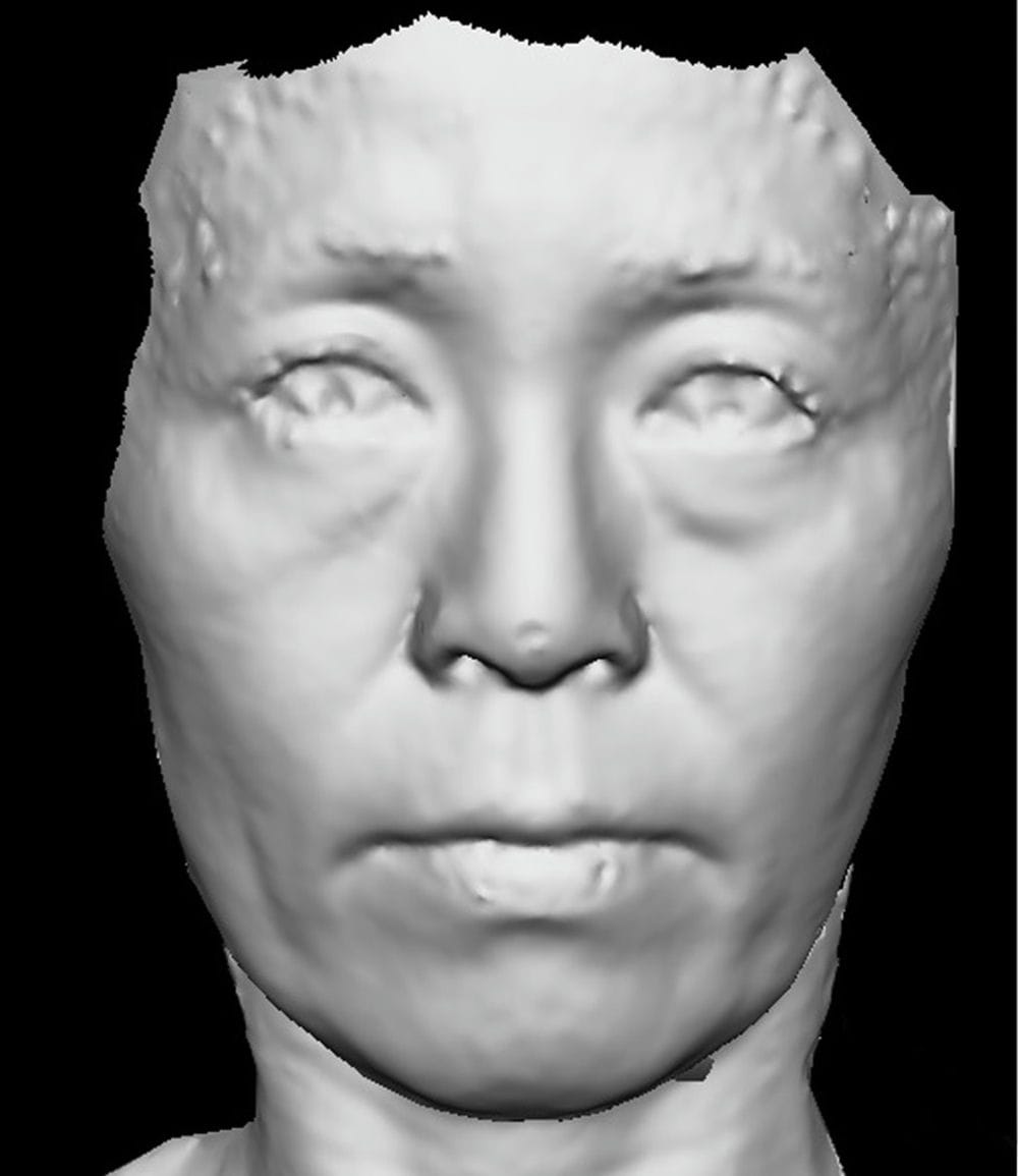 face-sculpture-2 after image